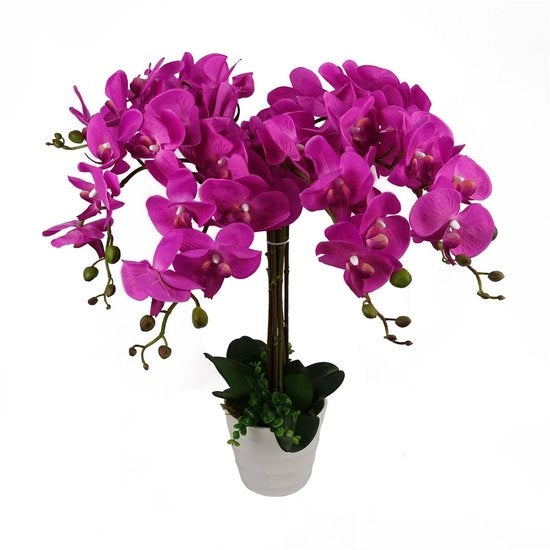 Orchidea artificiale in vaso, rosso scuro, 85 cm