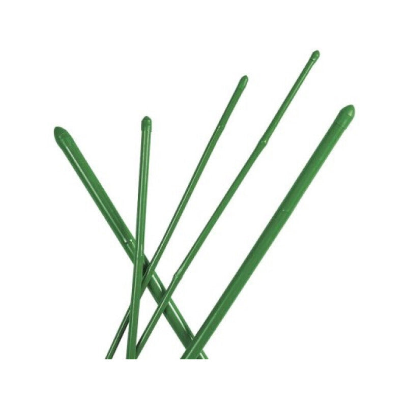 CANNETTA BAMBOO PLASTIFICATO H 210 CM D 18-20 MM
