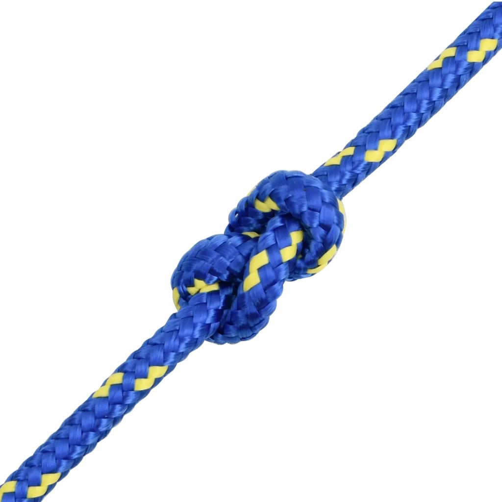 Corda multiuso 10 mm 100 m Blu PP 645 kg Carico massimo 3472846