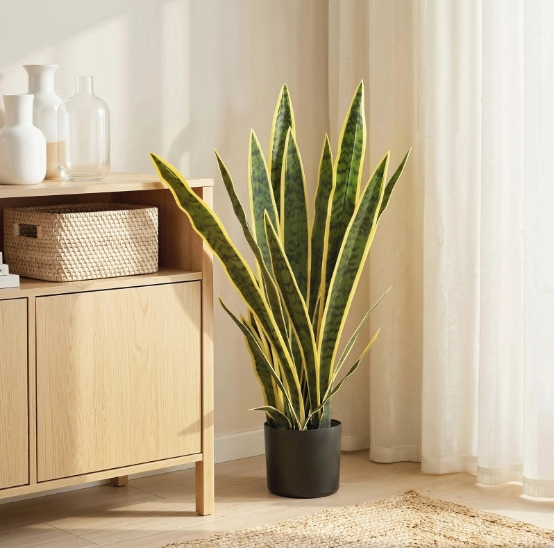 Pianta artificiale sansevieria 15x15x77 cm in polietilene verde con vaso
