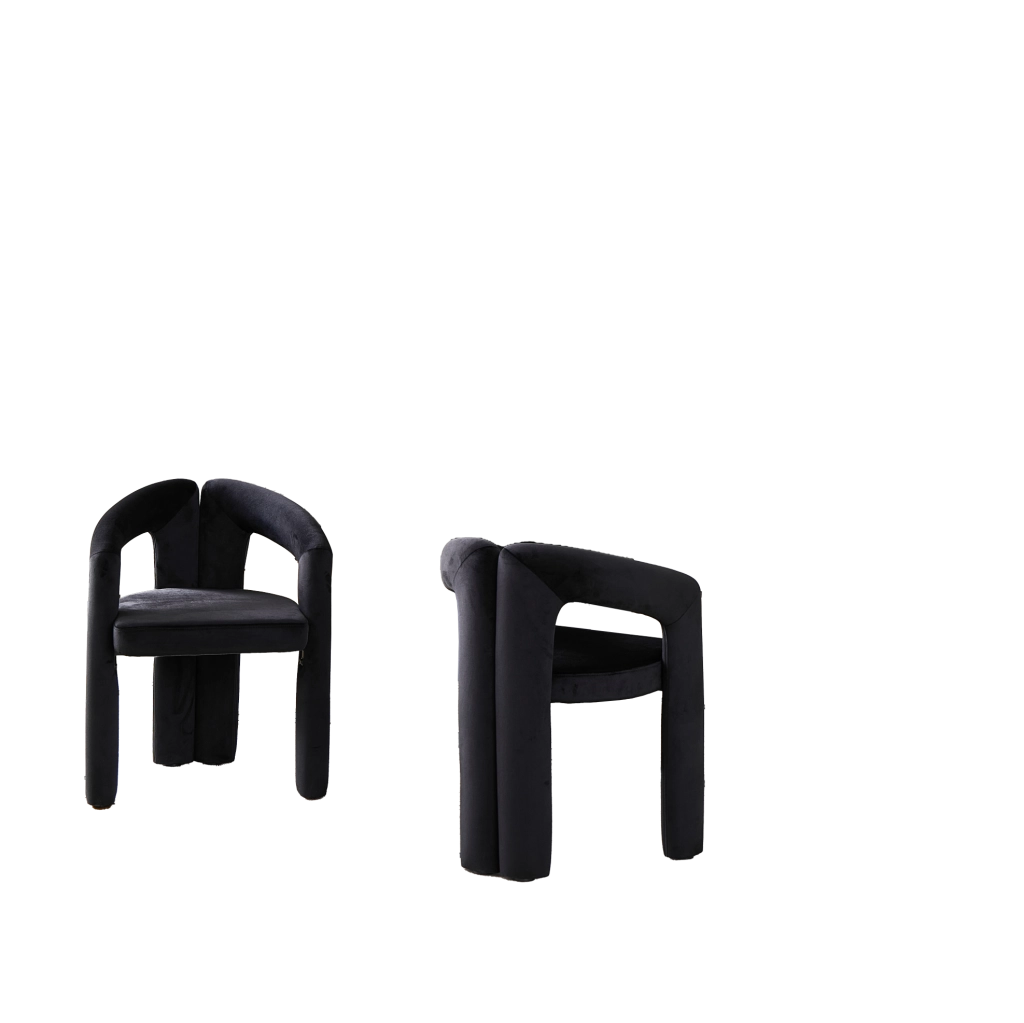 Set 2 sedie da pranzo in velluto nero con braccioli HOMVRA