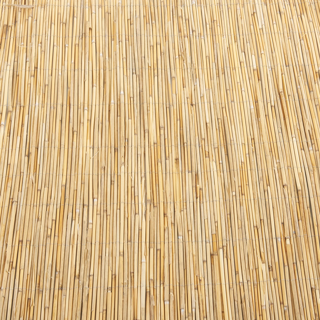 Recinzione Frangivista Abbateggio in Canna Naturale 100 x 500 cm casa.pro