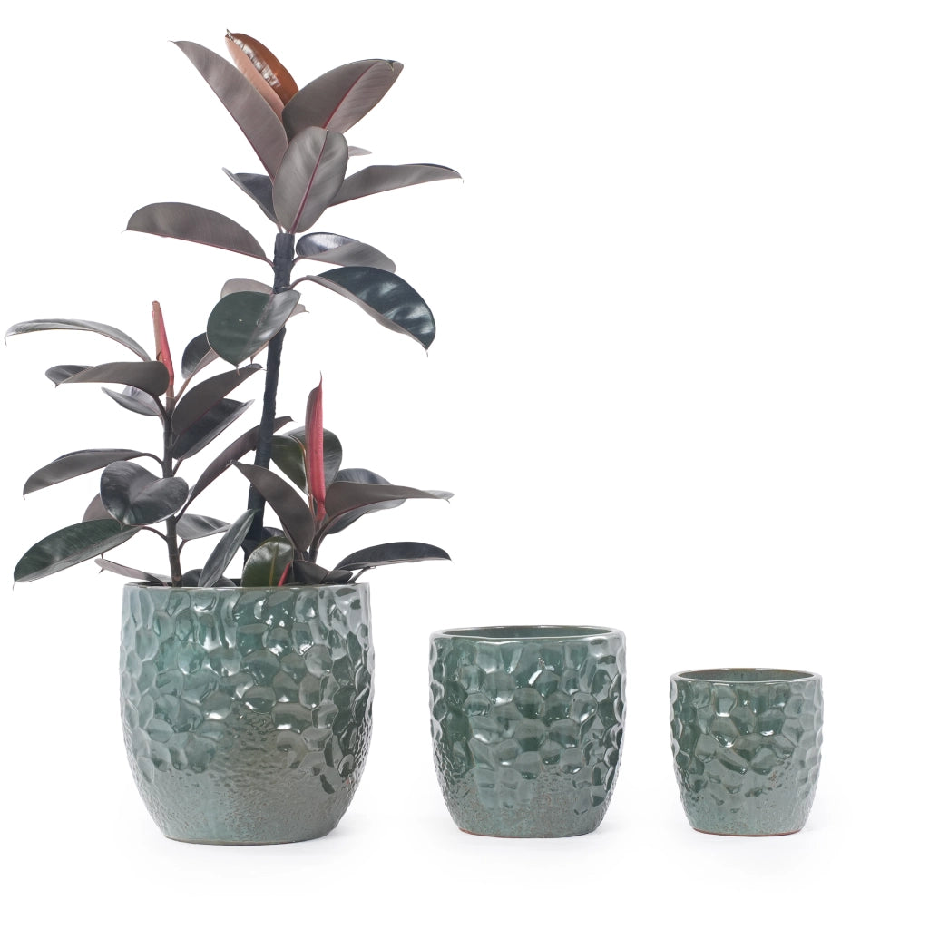 Vaso per piante in ceramica ¨C Minimal ¨C verde scuro lucido ?22,5 cm per giardino esterno balcone