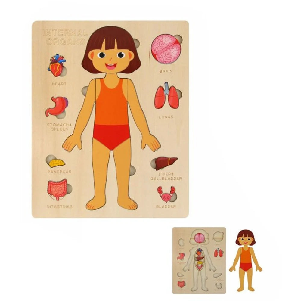 Trade Shop - Puzzle In Legno Educativo A Incastro Per Bambini Anatomia Organi Corpo Umano Bambina 32346 -