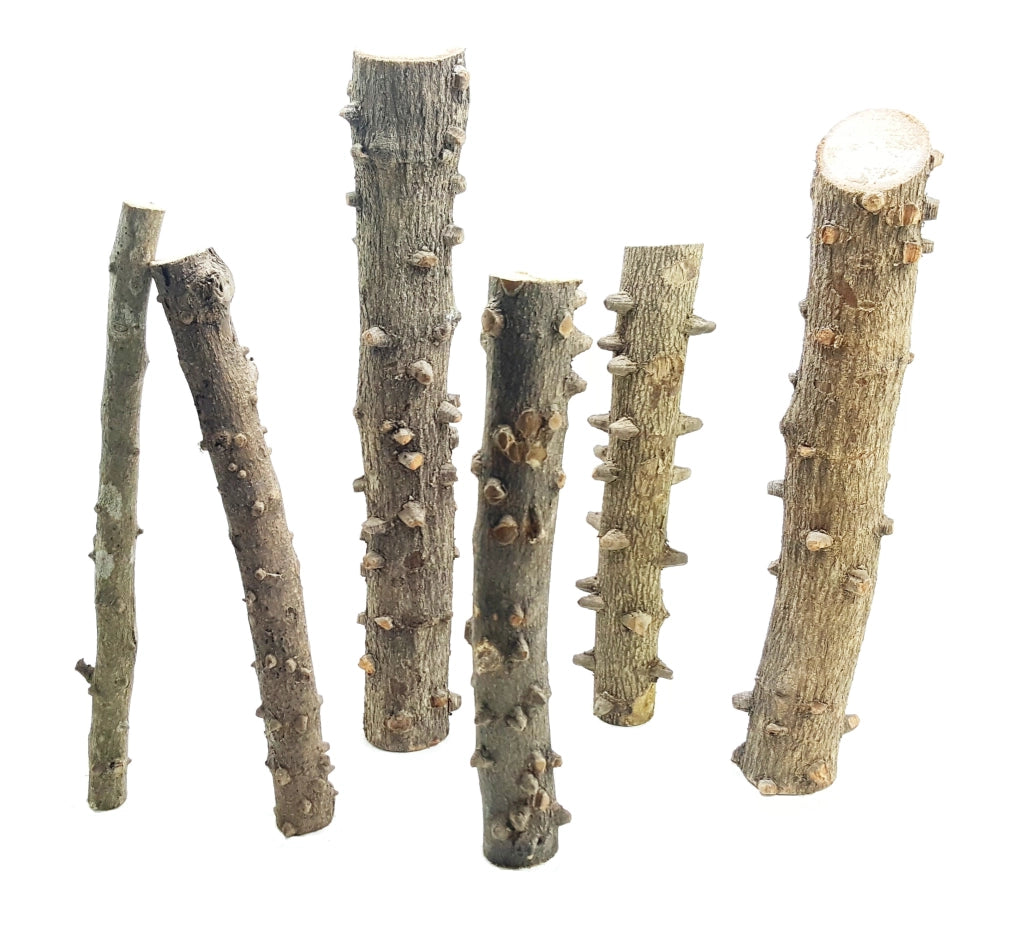 DecorLine Eyes Wood Foto Indicativa - Legni decorativi naturali Modello: L (40-50cm)