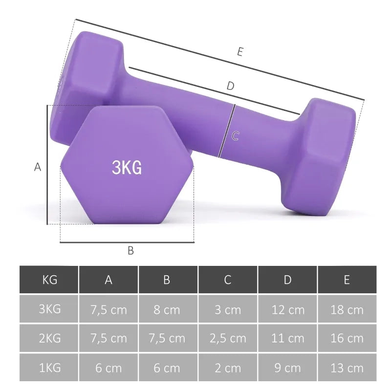 Set Manubri con Supporto, 6 Pezzi per Fitness: 2x1kg, 2x2kg, 2x3kg