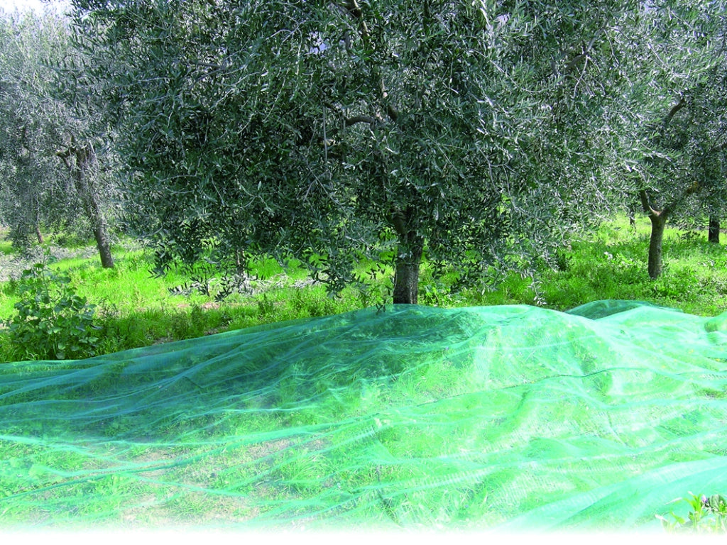 Confine RETE PER OLIVE ANTISPINE   mt. 6x 8
