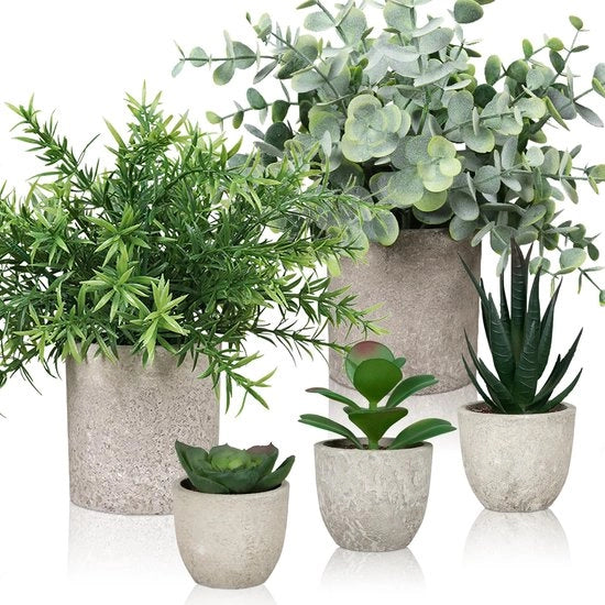 Collezione di 5 piante artificiali, piccole piante artificiali come vere con vaso, piante di eucalipto, rosmarino e piante artificiali per ufficio, soggiorno, vetrina e decorazione interna (5 vasi con piante artificiali)