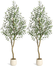 Set 2 Piante di Olivo Artificiale 180 cm con Tronco in Legno Frutti e Vaso Bianco