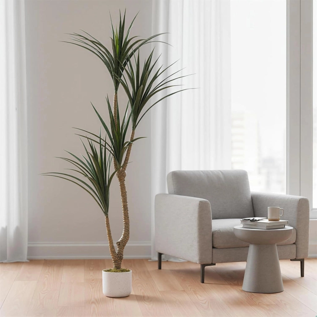 Dracena Dragon Tree Artificiale 165 cm Grande Pianta da Interno con Vaso Nero