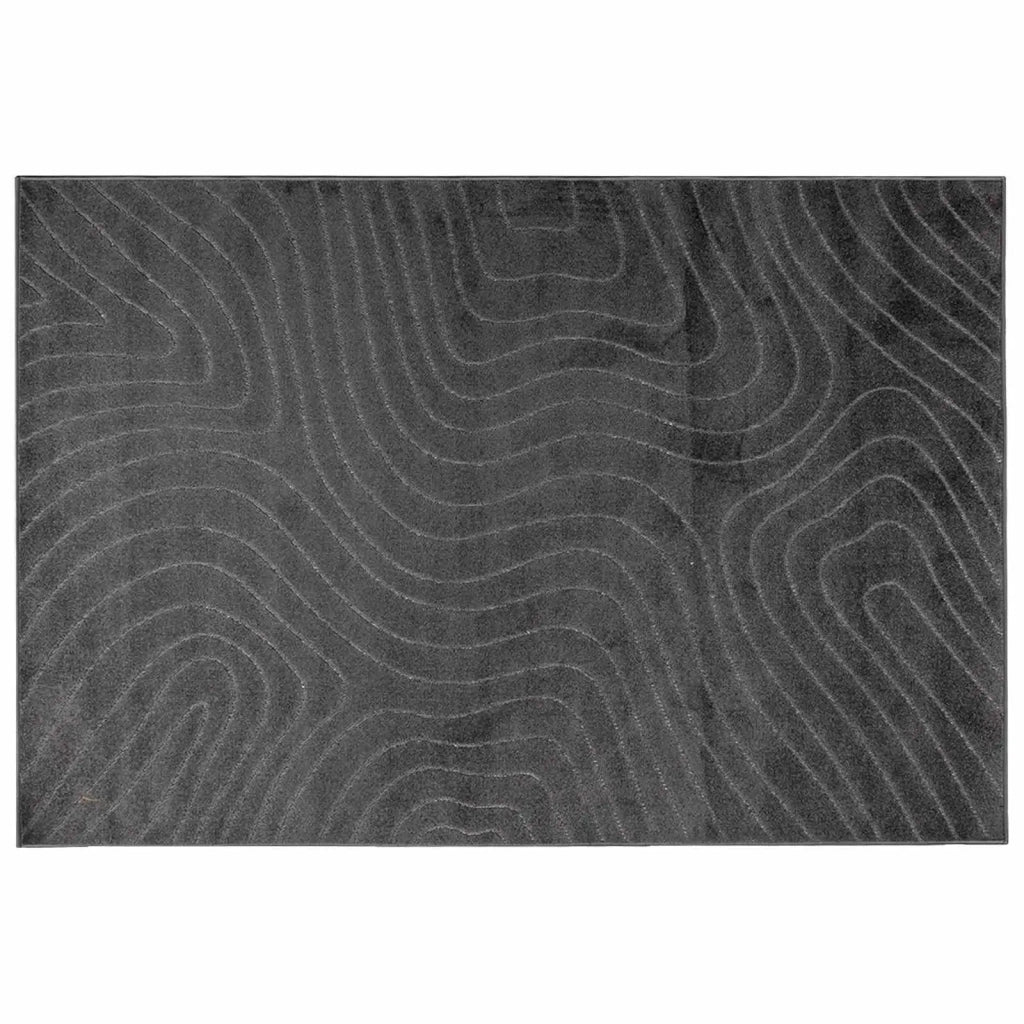 Tappeti per area | Tappeti a zone PALMERAS Antracite 170 x 120 cm Poliestere