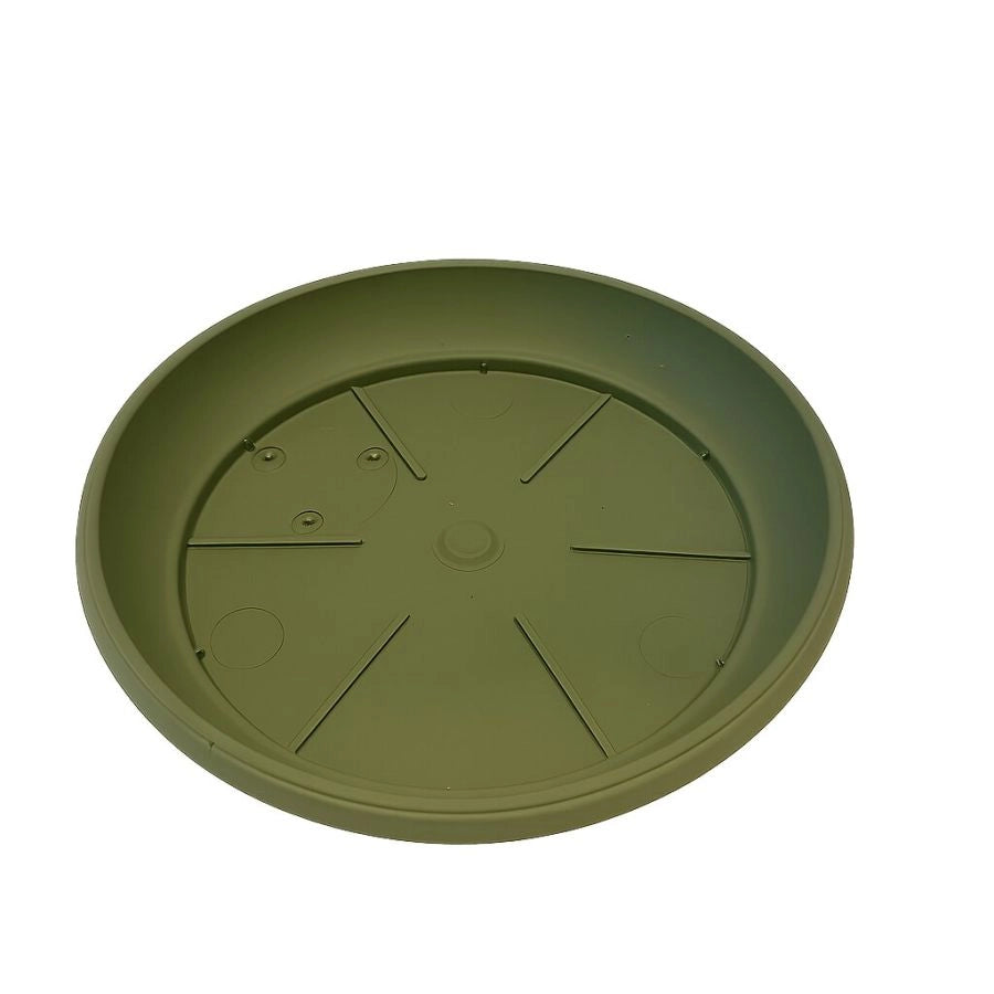 PIATTO SIMILCOTTO SPAZZOLATO D30 NEWSALVIA EXTRA