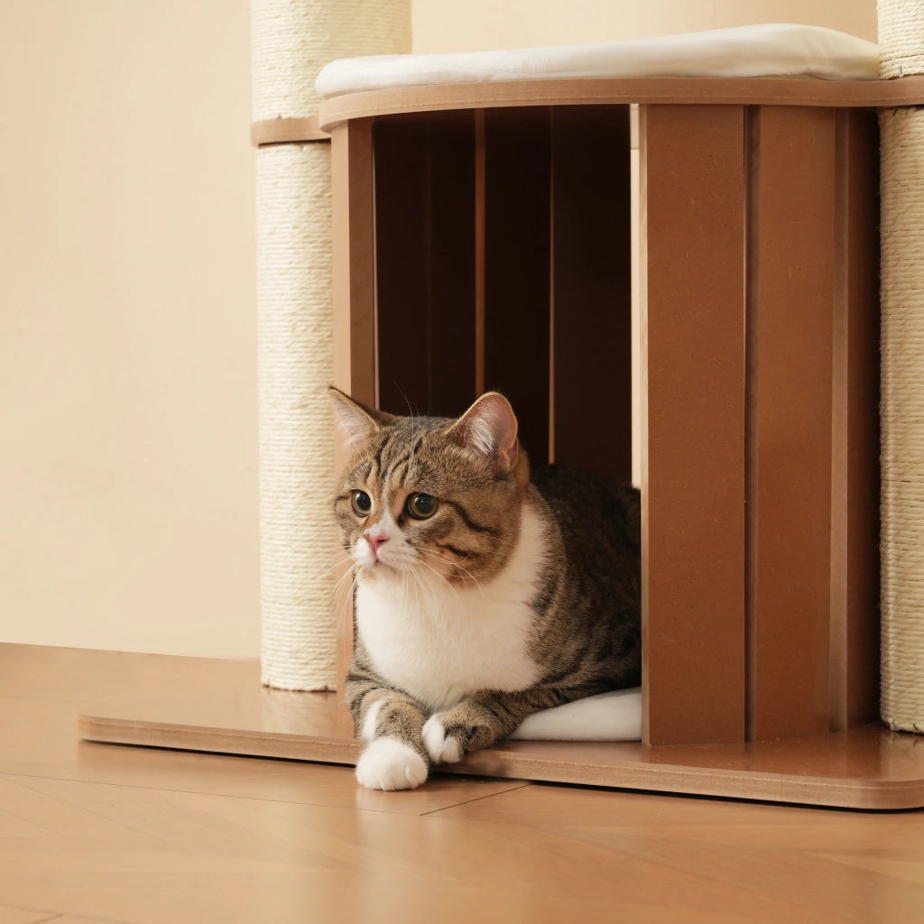Tiragraffi per gatti a 3 livelli con cuccia colonne da 12 cm cuscini rimovibili MDF marrone bianco 60 × 48 × 135 cm
