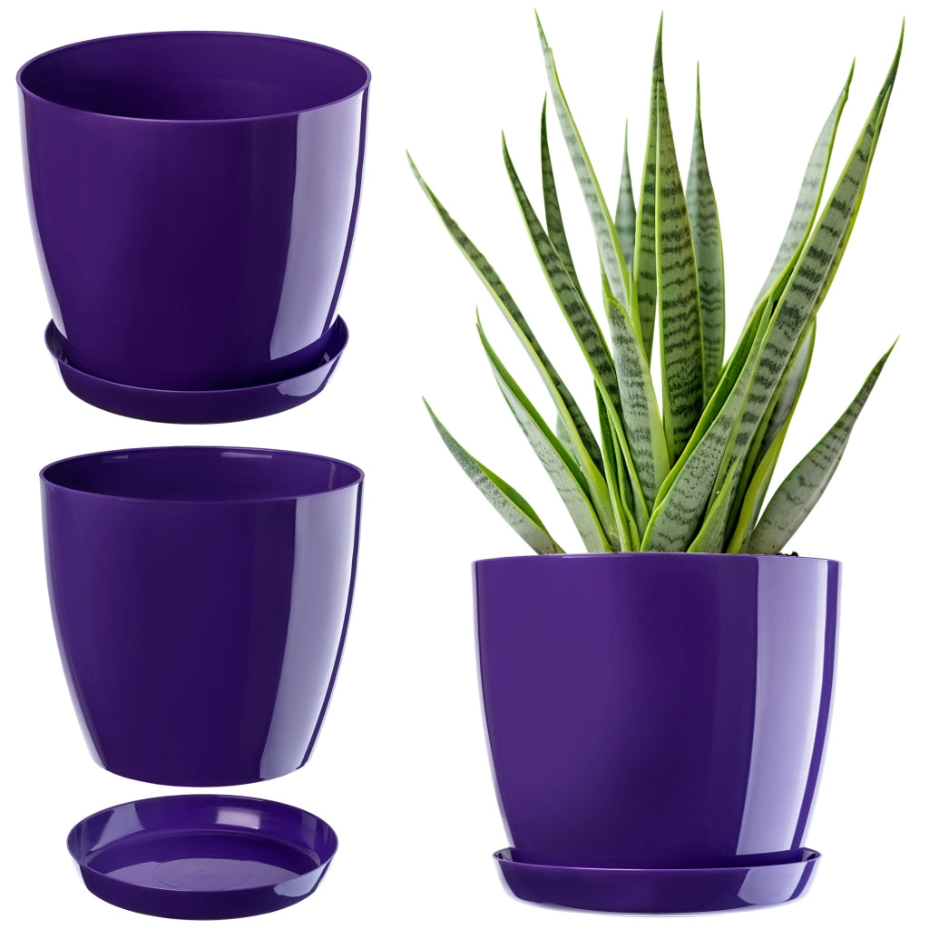 Vaso da fiori KADAX con sottovaso, coperchio in plastica, vaso da 12 cm, fiori viola, Kadax