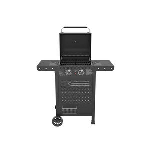 C BARBECUE A GAS 2 FUOCHI HOT 2