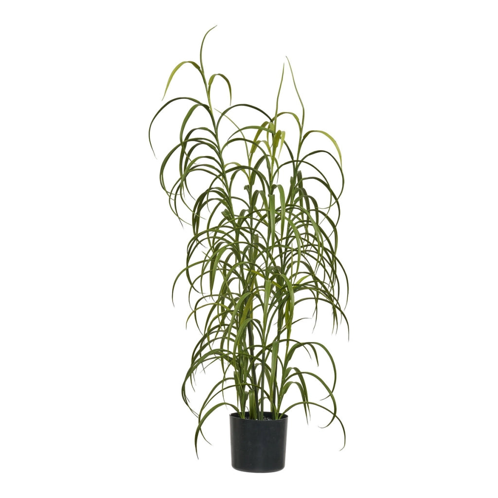 Pianta Artificiale Grass, Verde, Plastica, 36x36x89 cm