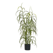 Pianta Artificiale Grass, Verde, Plastica, 36x36x89 cm