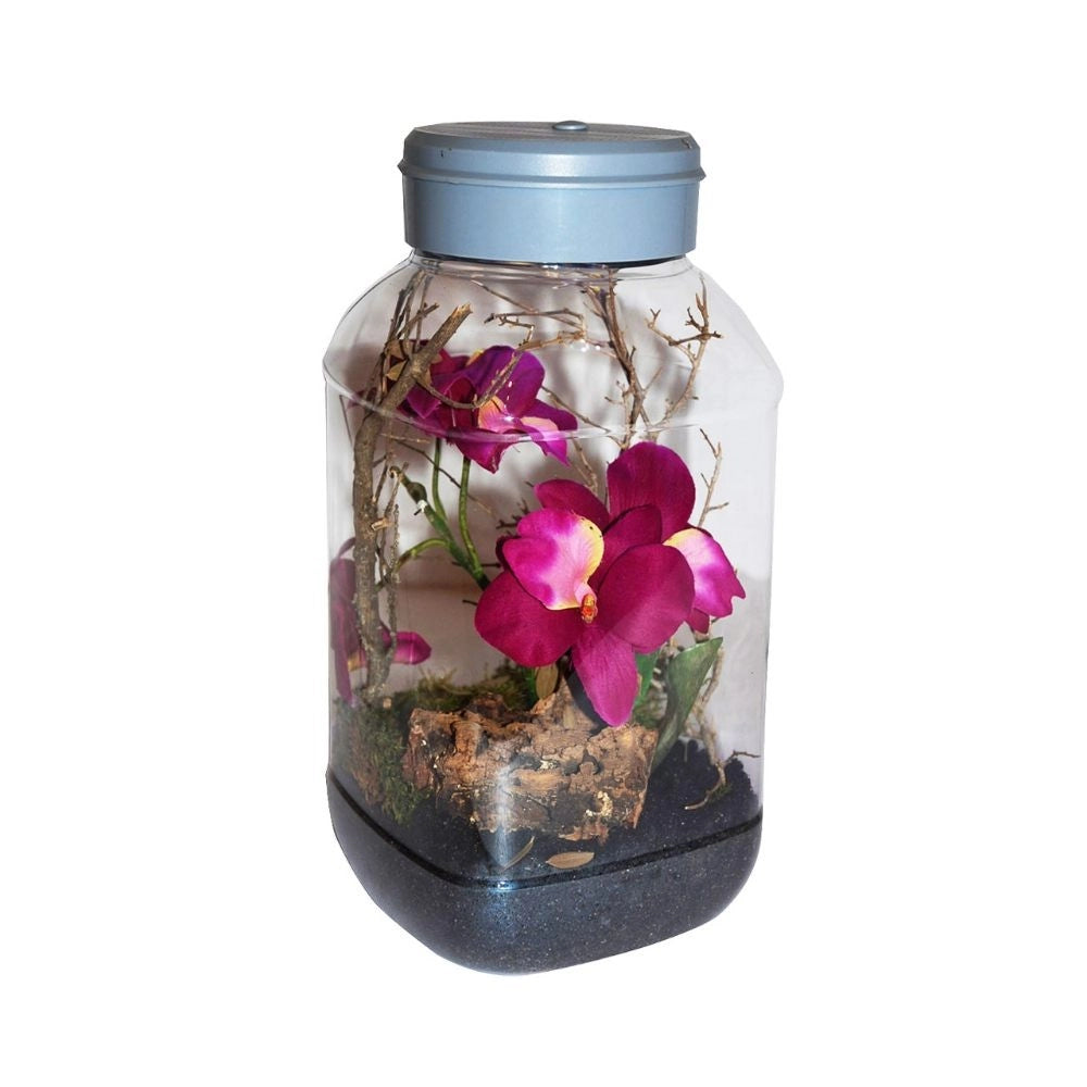 Lucky Reptile Insect-Tarrium 5L cm15x15x25h - mini terrario in plastica per insetti e ragni
