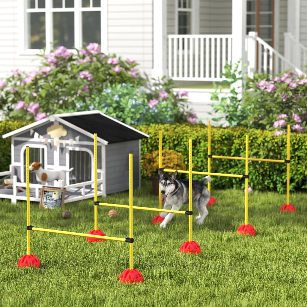 Set per Agility per Cani ¨C Minimal ¨C Giallo