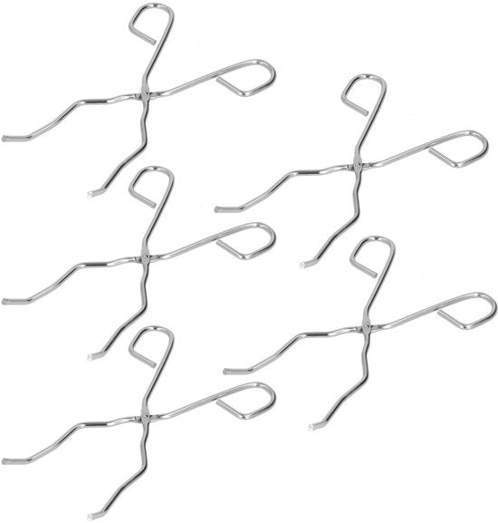 Set di Spatole di Acciaio Inossidabile per Fusi da 5 pezzi per Utilizzo Laboratoristico