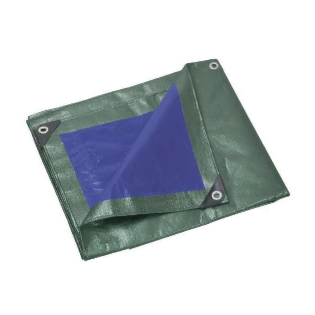 Telo Occhiellato in Polietilene Verde e Blu 8 x 10 m da 130 g Impermeabile e Lavabile