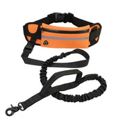 Cintura per cani Handsfree - Riempimento riflettente - Cintura regolabile - Chiusura di sicurezza - Corda elastica - Lunghezza 120 cm - Cintura per cani