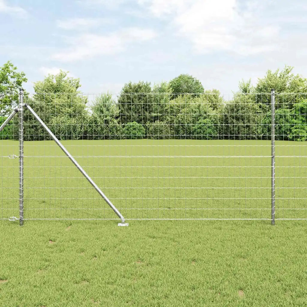Recinzione con Posto Argento 1 x 10 m Acciaio