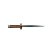 Blinky Rivetti Rame Scatole 1000 Pezzi 3x9mm