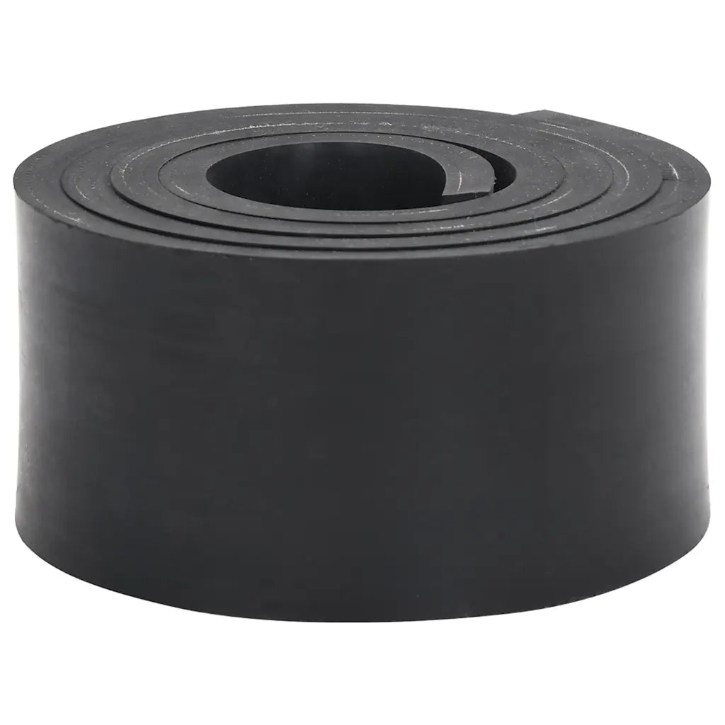 Bordo in Gomma per Spazzaneve Nero 200x10x1 cm 4103522