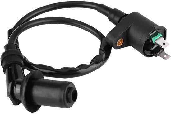Bobina di Accensione per Motocicletta - Alta Intensità Scintilla - GY6 Adatto - Resistente alla Corrosione - Materiale Duraturo - Lunghezza Totale 450 mm - Bobina di Accensione
