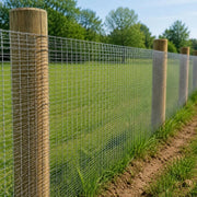 Wire Fence, Galvanized Steel, 25x1.5 M, Silver