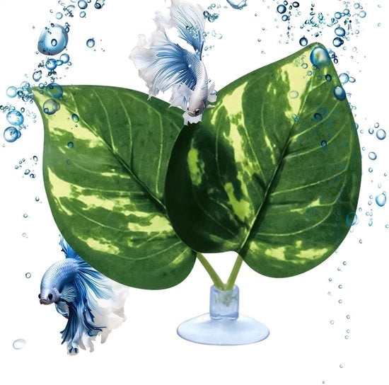 Decorazione per acquario realistica - Letto per betta - Sito di riposo - Nido di riparo - Per gamberi/guppy - Pianta ornamentale artificiale