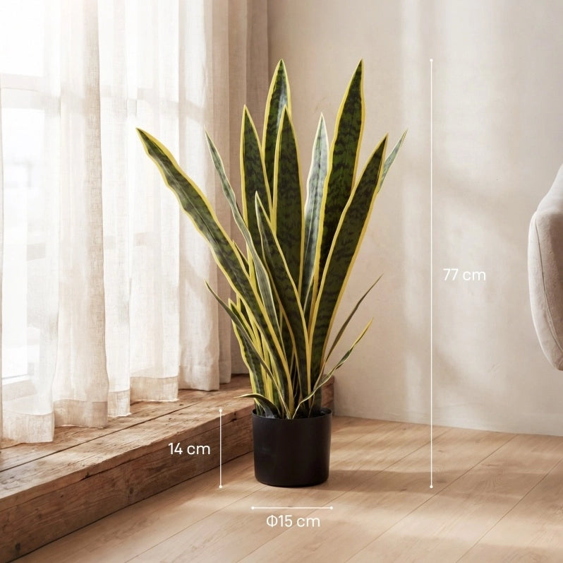 Pianta artificiale sansevieria 15x15x77 cm in polietilene verde con vaso
