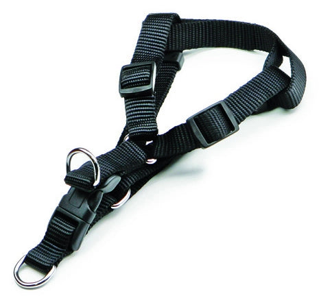 Utilia Pet PETTORALE IN NYLON REGOLABILE  fascia cm. 1,5 col. Assortiti