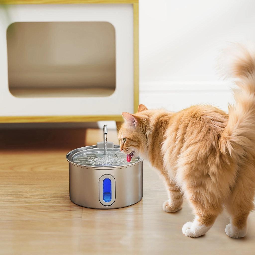 Fontanella per Gatto con Luce LED ¨C Minimal ¨C Acciaio Inox 19.4x19.4x18.7 cm Argento