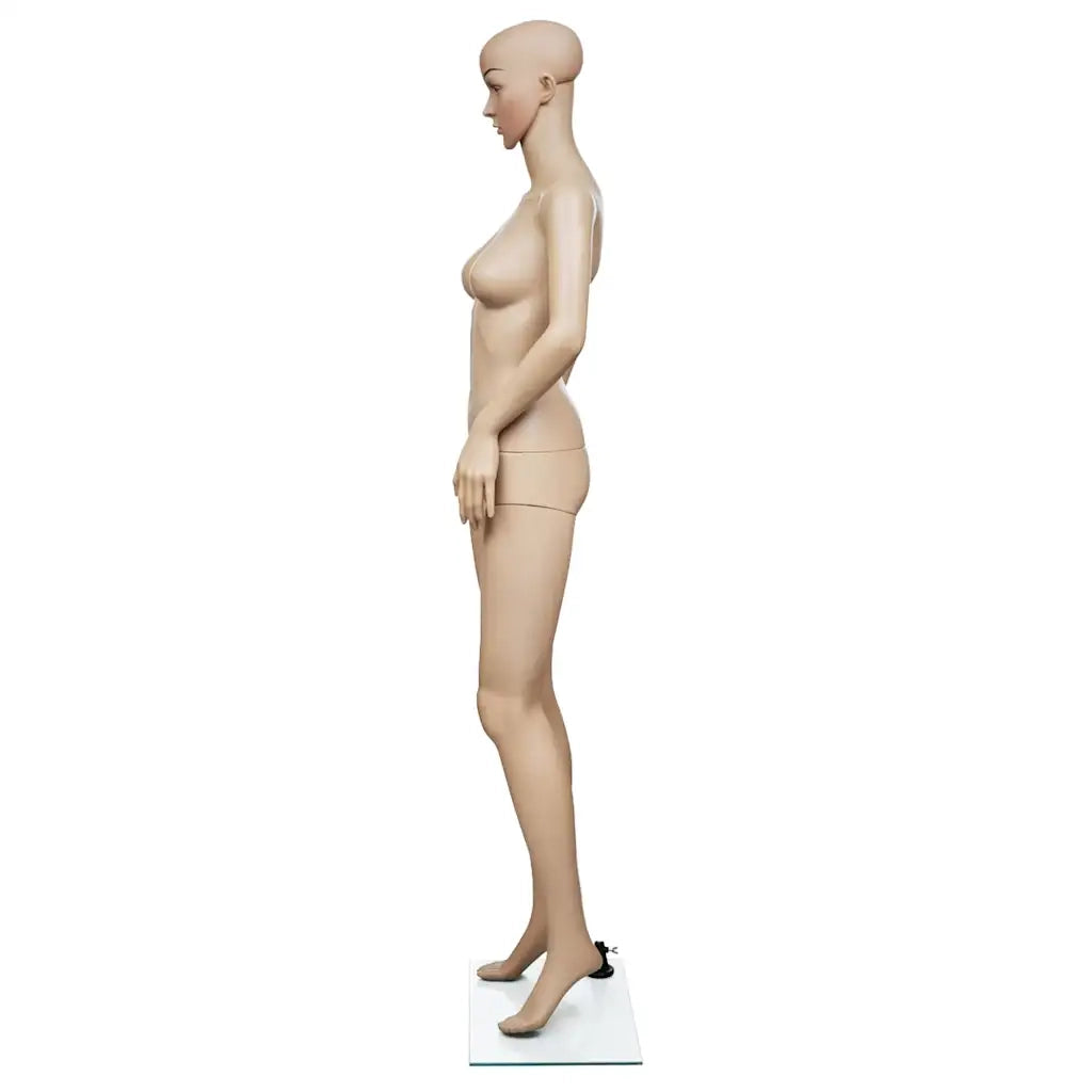 Manichino Donna B 30023