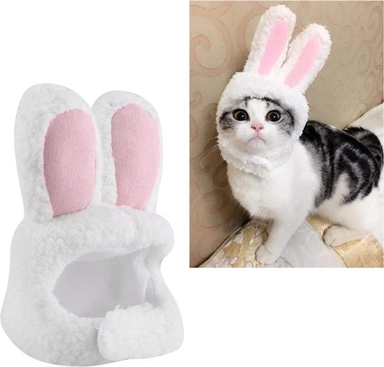 Costume per gatto cosplay - accessorio cappello marrone