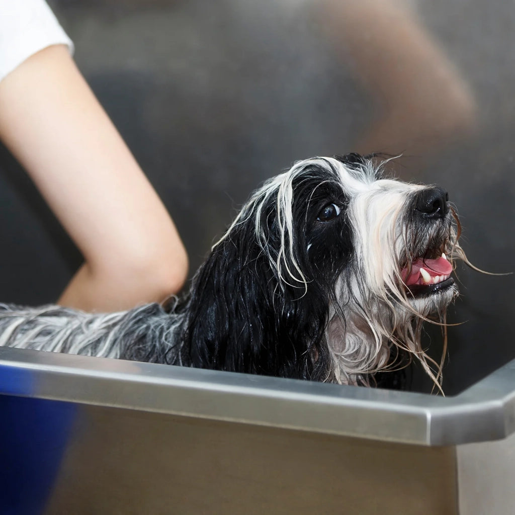 Vasca da Bagno per Toelettatura Cani Gatti e Animali Domestici in Acciaio Inossidabile Inox – 600mm