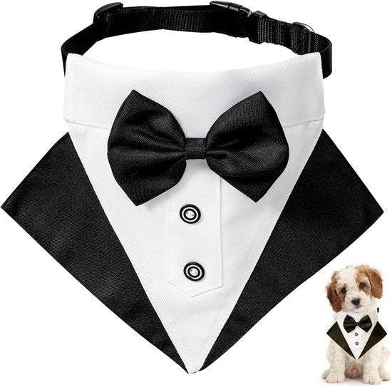 Bandana Chic per Cani con Striscia per Matrimoni e Feste
