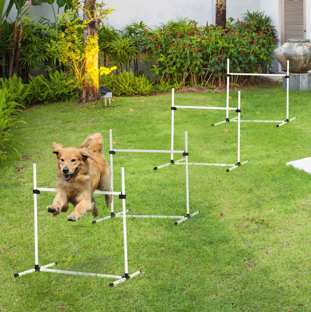 Set ostacoli agility per cani 99x65x94 cm in plastica bianca, altezza regolabile
