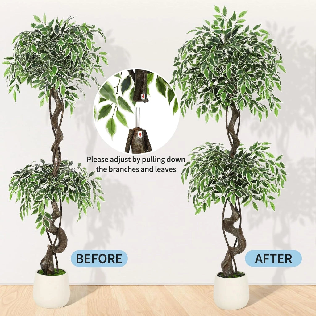 Ficus Artificiale Multitronco 150 cm con Vaso Ciottoli e Muschio Decorativo
