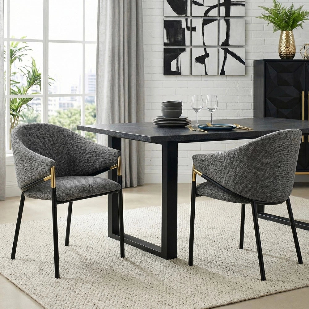 2 Sedie da pranzo comode e traspiranti - Zephmum - Stile moderno, braccioli in acciaio inossidabile dorato, grigio