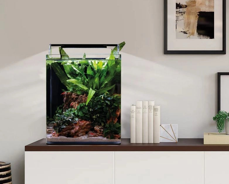 Dennerle Nano Cube Complete 20L - Mini acquario panoramico cm25x25x30h con filtro, substrato e LED
