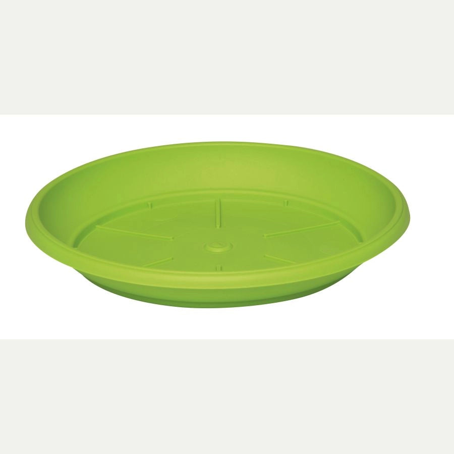 PIATTO TONDO PER SIMILCOTTO D 30 VERDE LIME