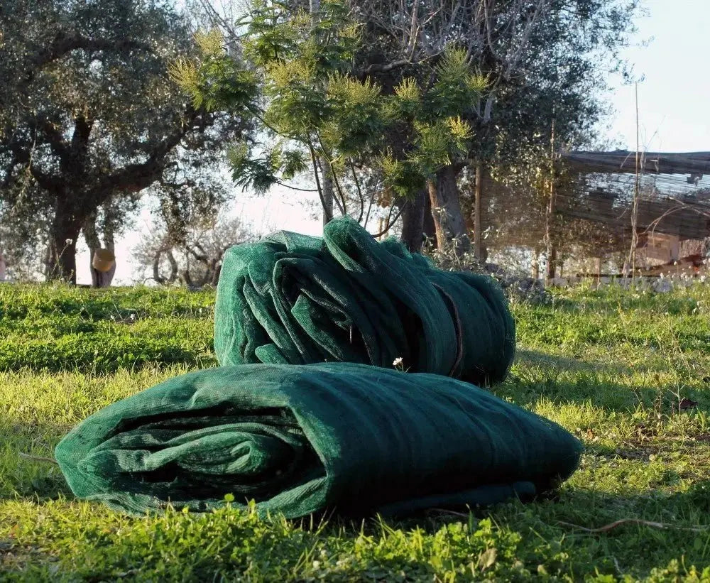 Rete antispina olive occhiellata Taglia: 6 X 10