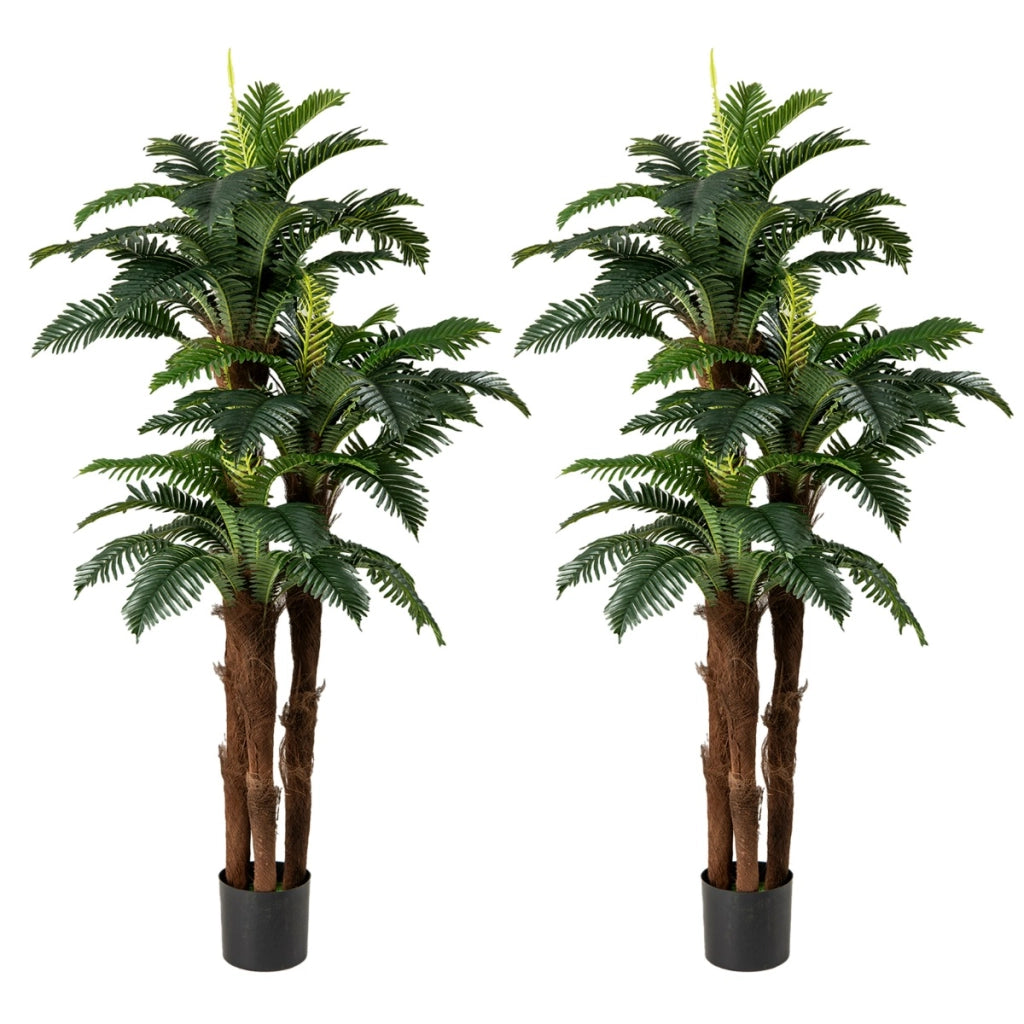 Set di 2 palme artificiali con 45 + 3 foglie regolabili e muschio, Pianta da interno in vaso per decorazione di casa Verde
