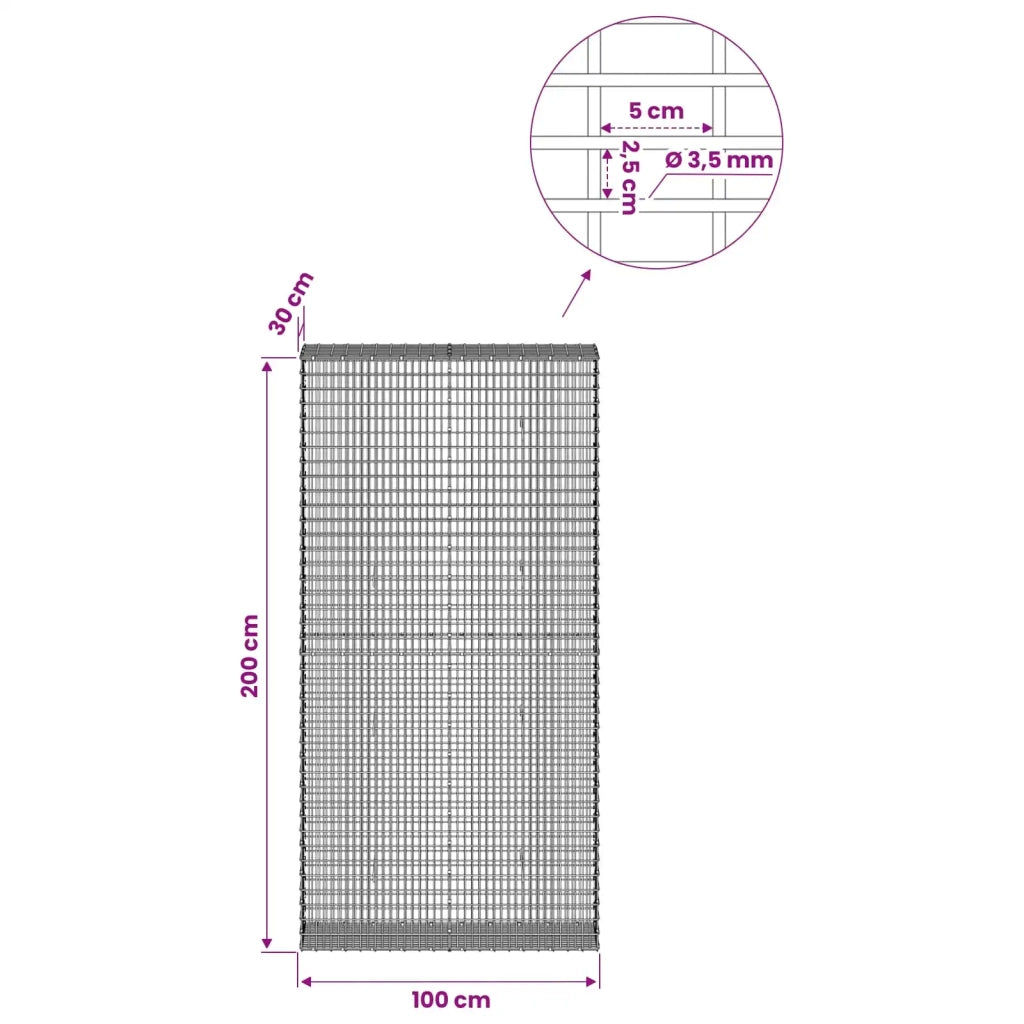 Gabione con Filo da 3,5 mm e Rete da 5x2,5 cm 100x30x200 cm 3461804