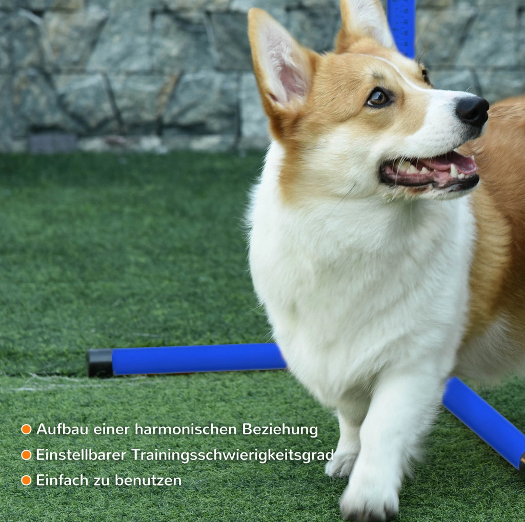 Set agility per cani regolabile in altezza con ostacoli e slalom