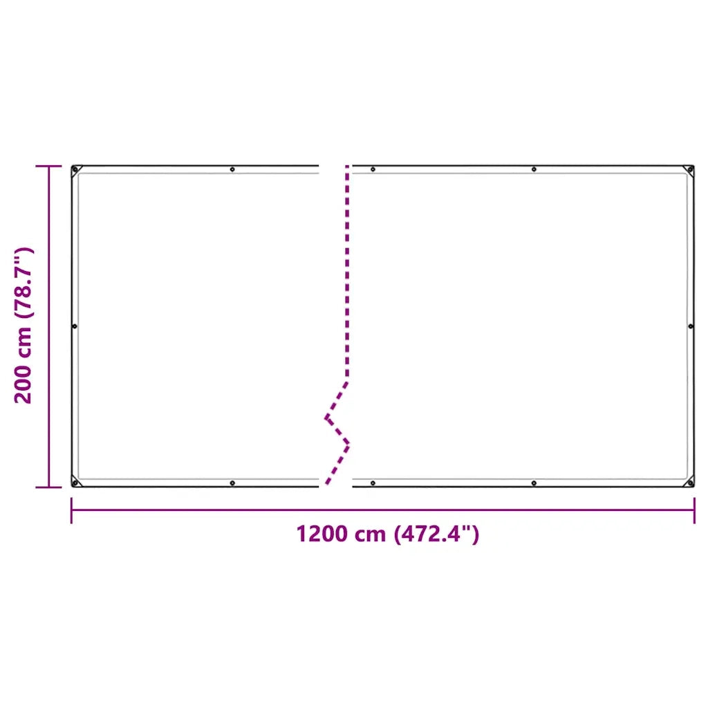 Telone Trasparente con Occhielli 2x12 m in PVC 4018598