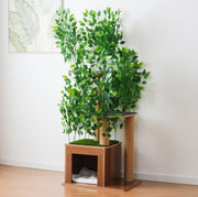 Tiragraffi per gatti ad albero con 3 piattaforme; cuccia e foglie rimovibili; 60×45×158 cm; MDF verde